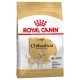 Royal Canin Chihuahua Adult - за кучета порода чихуахуа на възраст над 8 месеца 500 гр.